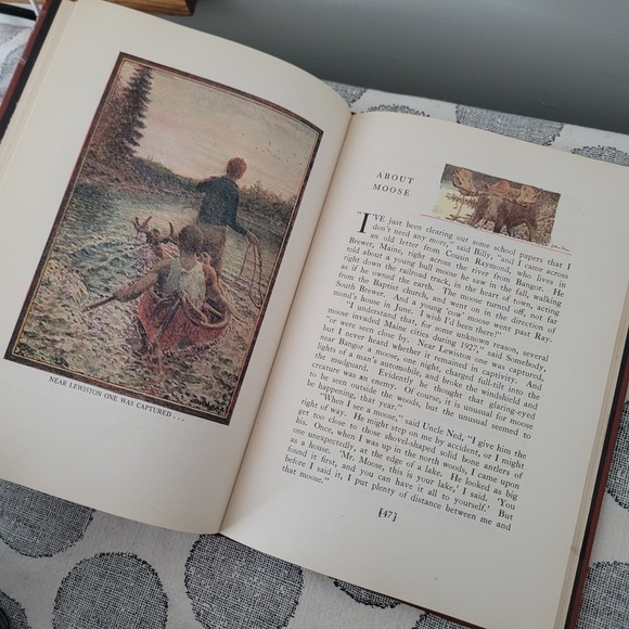 More Really So Stories by Elizabeth Gordon and Jane Priest - Picture 6 of 7